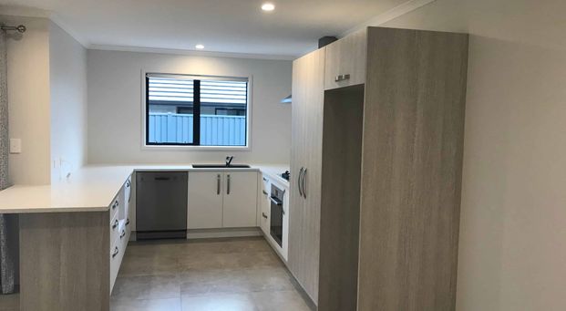 NEARLY NEW, SPACIOUS, MODERN FAMILY HOME SITTING PRETTY IN THE LAKES. - Photo 1