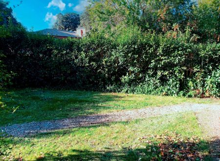 La Moraleja - Photo 4