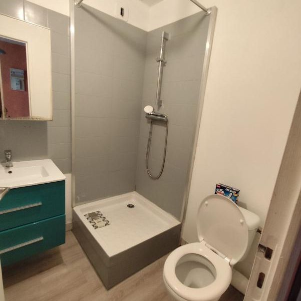 Location Appartement 1 pièce Meublé 22m² BREST 29200 - Photo 1