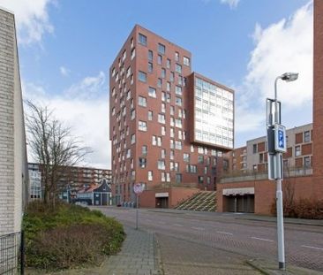 Teakhout 0ong, 1507 EC Zaandam, Nederland - Photo 1