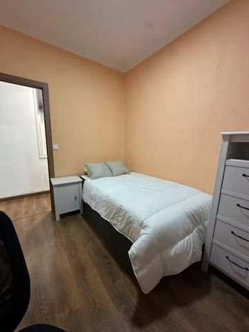 Calle de Toledo, Madrid, Community of Madrid 28005 - Photo 5