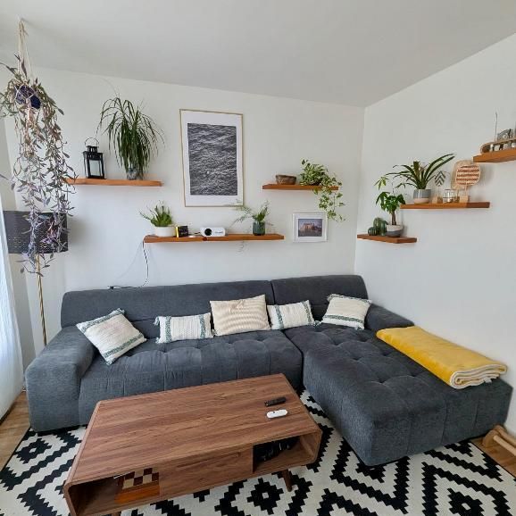 Charmant 4 1/2 au cœur du Plateau Mont-Royal - Photo 1