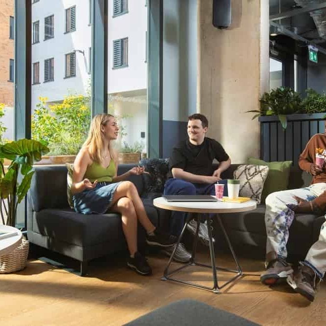 Double Partly Accessible Studio - Photo 1