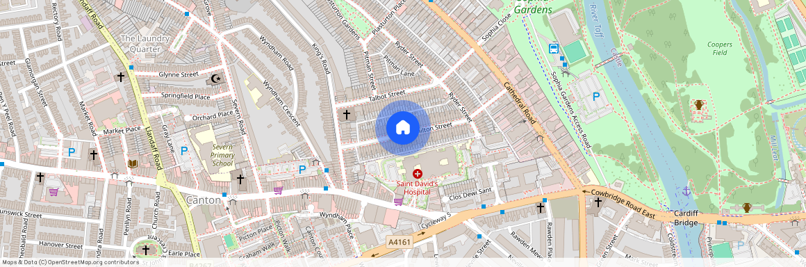 Hamilton Street, Pontcanna Street, Cardiff