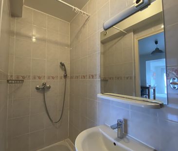 Location Appartement 1 pièce 26m² PALAISEAU 91120 - Photo 5