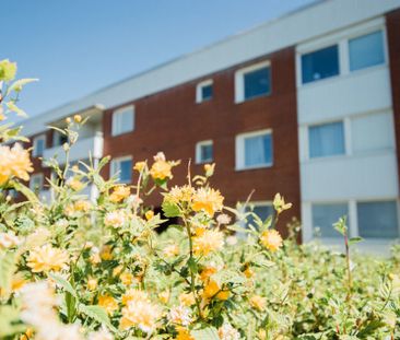 Ågatan 46A, Bromölla - Photo 5