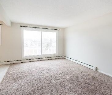 1 Bedroom - Photo 5