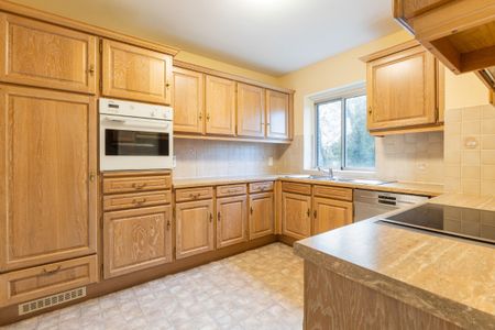 Charmant gemeubeld appartement te huur op jaarbasis in hartj - Photo 5