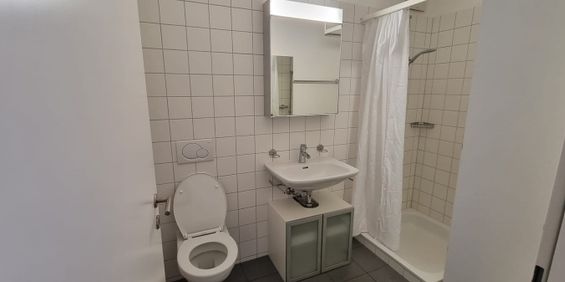 1 Zimmer, 14 m², EG - Foto 3