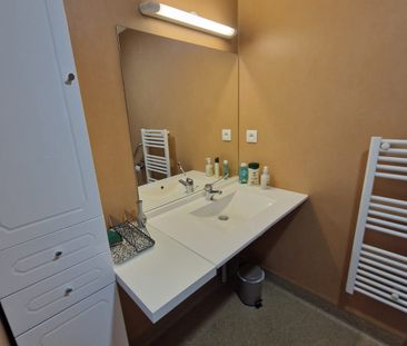 Location Appartement 1 pièce 18m² LYON 8ème - Photo 3