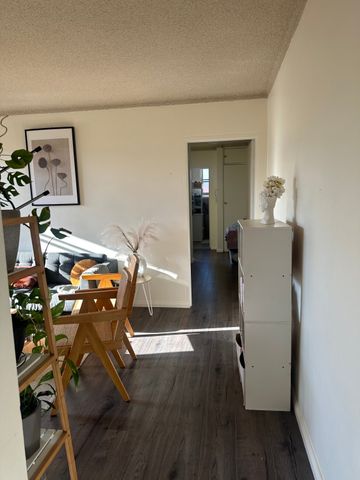 Marrickville - Photo 4