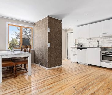 Blåhakeslingan, Ingarö - Foto 2