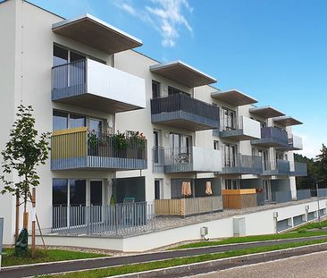 barrierefreie Wohnung in Ernsthofen - Photo 2