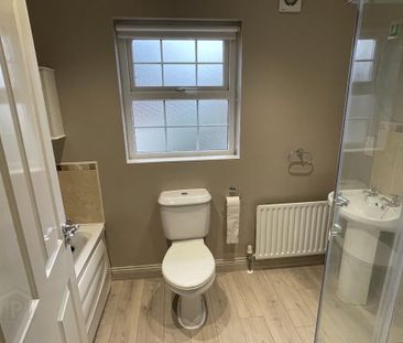 17 Millrace Square, Moneymore, Magherafelt, BT45 7WB - Photo 6