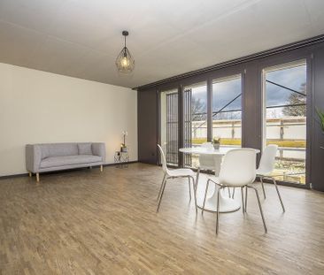 Rent a 2 ½ rooms apartment in Bern - Foto 1