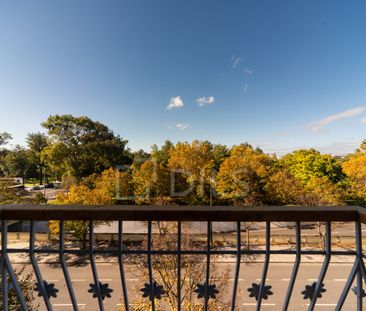 Apartamento T1 para arrendamento no Campo Grande, Lisboa - Photo 1