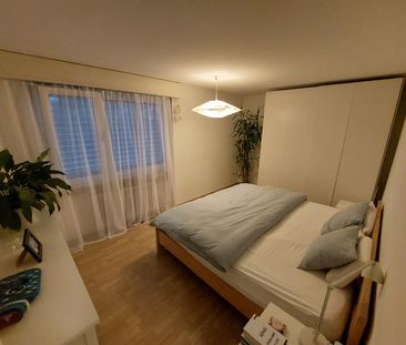 Rent a 3 ½ rooms apartment in Ebikon - Photo 1