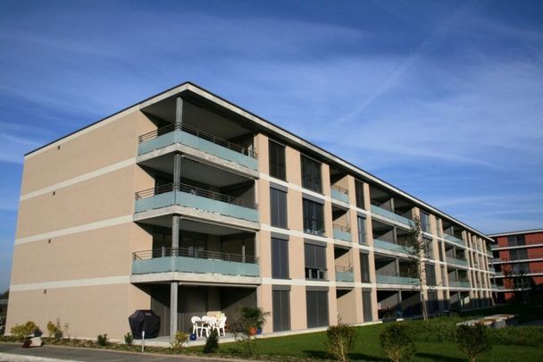 Weiherfeld plus, Rheinfelden; 3.5 Zimmer im 3.OG - Photo 1