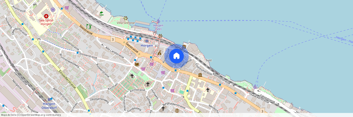 8810, Horgen, Dorfgasse, 21