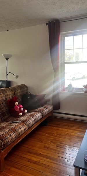 1 CH - 1 SDB - Sherbrooke - $825 /mo - Photo 1