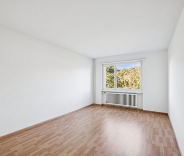 2.5 Zimmer, 50 m², 3. Stock - Photo 5