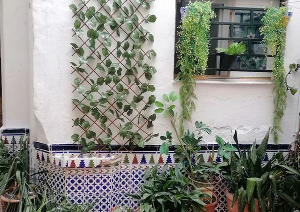 Alquiler de estudio en pasquin, 25