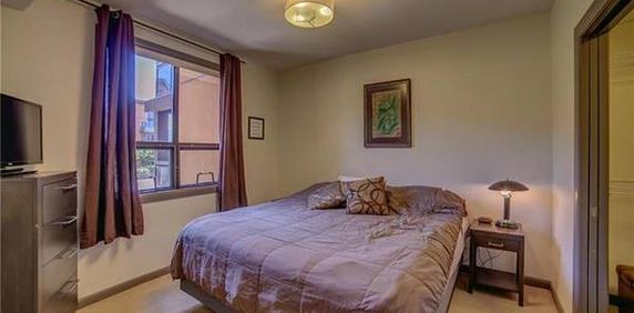 1 Bed plus Den, Pet Friendly Furnished Condo - Photo 2