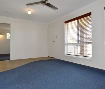 :: LOWSET BRICK HOME WITH A SHED IN SOUGHT AFTER CLINTON! - Photo 5