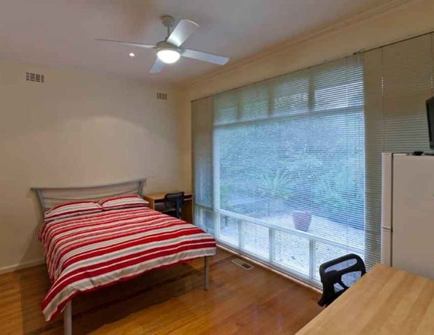 Medium Room - Photo 1