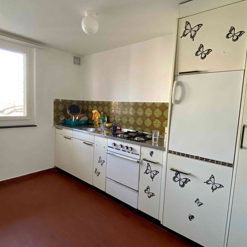 3 Zimmer, 62 m², 3. Stock - Foto 1