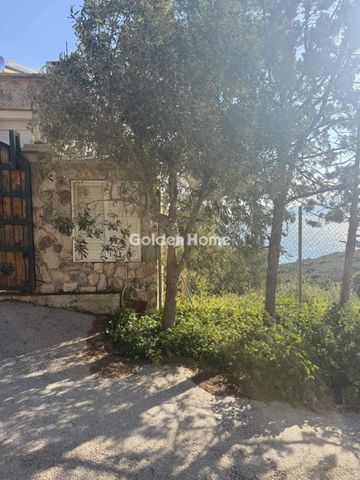 Ενοικίαση, Κατοικία, Μονοκατοικία - Φωτογραφία 4