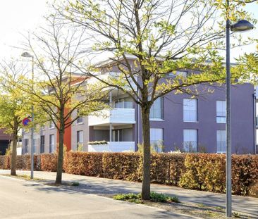 Appartement de 3.5 pièces au rez-de-chaussée - Foto 6