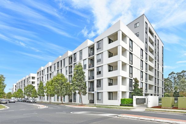 124/68 River Road, Ermington NSW 2115 - Apartment For Rent | Domain - Photo 1