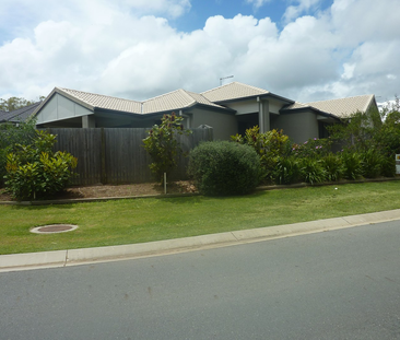 19 Riley Peter Place, Cleveland QLD 4163 - House For Rent | Domain - Photo 5