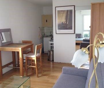 Location Appartement 24.78 M² SAINT-LOUIS 509 € - Photo 1