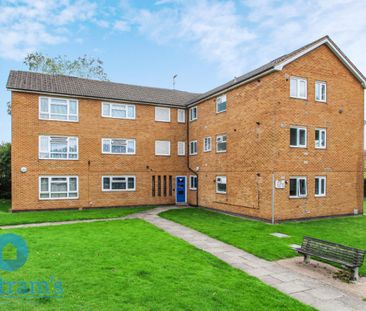 1 bed Apartment for Rent - Photo 6