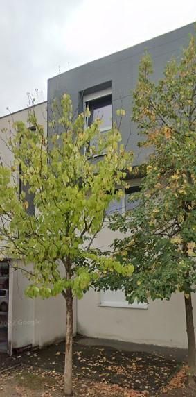 Location Appartement 4 pièces 82m² OSTWALD 67540 - Photo 1