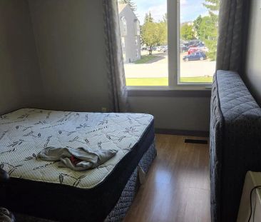 Bright room with lot's of closet space — 1 Bedroom Room For Rent - Photo 1