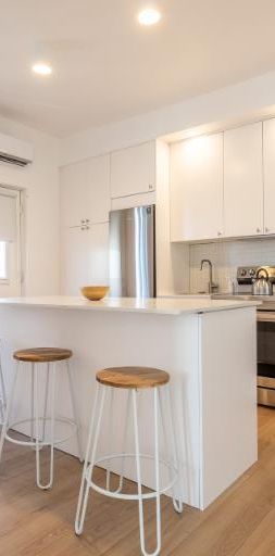 4 1/2 - Montréal (Hochelaga / Maisonneuve) - $2 200 /mois - Photo 1