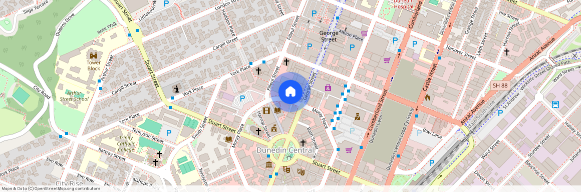 237 Moray Place, City Centre (Dunedin), Dunedin