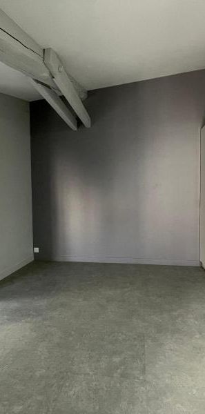 Location Appartement 1 pièce 43m² CLERMONT FERRAND 63000 - Photo 1