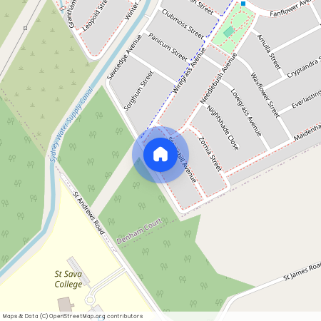 111 Sawsedge Avenue, NSW 2565, Denham Court