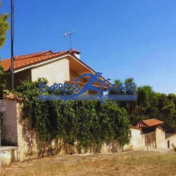 Μονοκατοικία 240 τ.μ. προς ενοικίαση - Photo 1