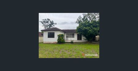 Great size house with a yard for the kids - Photo 4