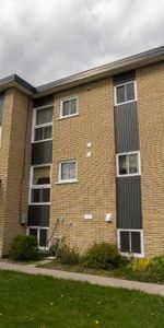 4 1/2 AU 1ER ÉTAGE DISPONIBLE MAINTENANT ! - Photo 3