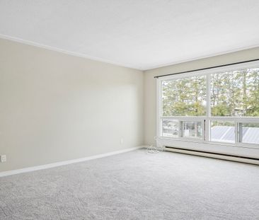 For Lease - 994 Colborne Street, Brantford, Ontario - Photo 6