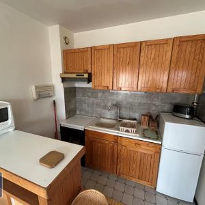 Location Appartement 1 pièce 41m² ANNECY 74000 - Photo 2