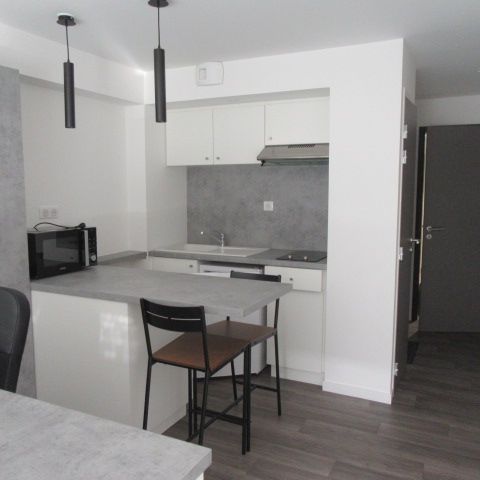 Appartement Meublé - La Roche Sur Yon 1 pièce -24,24 m2 - Photo 1