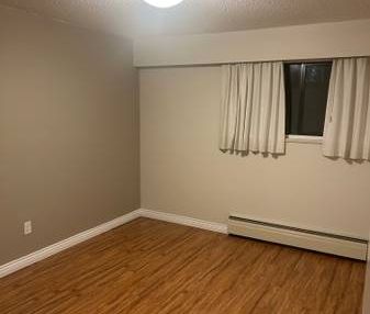 Large One Bed near Marpole Loop Available March 1st or earlier - Photo 1