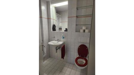 4½ Zimmer-Wohnung in Küssnacht am Rigi (SZ), möbliert, auf Zeit - Foto 5